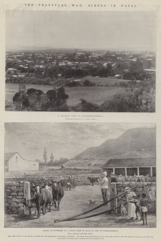 The Transvaal War, Scenes in Natal by Paul Frenzeny