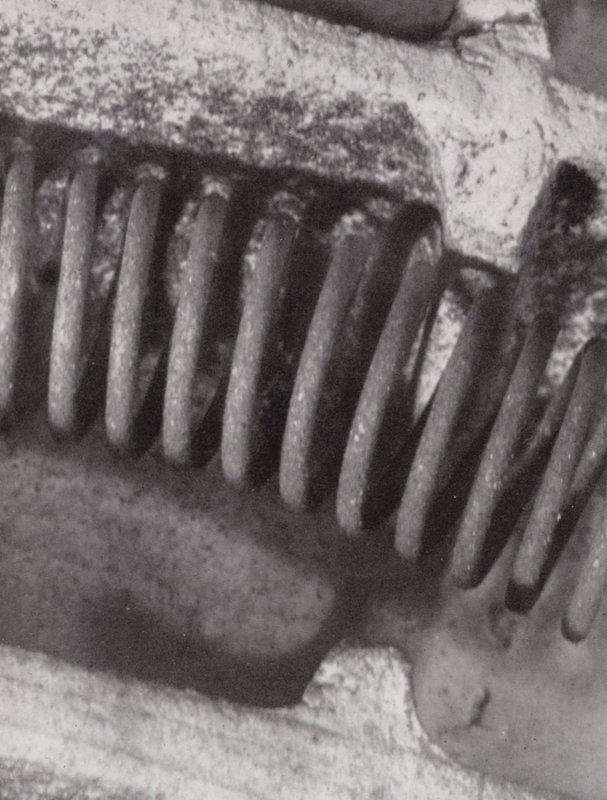 Filament of an Electric Fire by Paul Henning