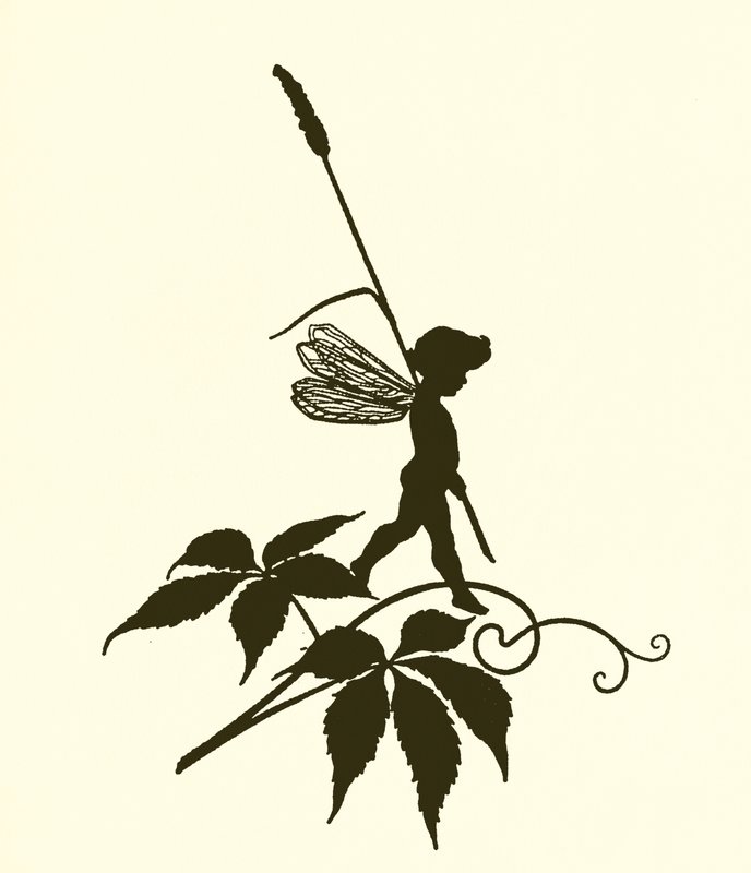 A Midsummer Night