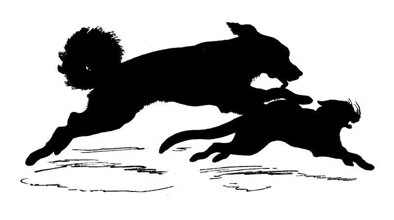 Silhouette by Paul Konewka by Paul Konewka