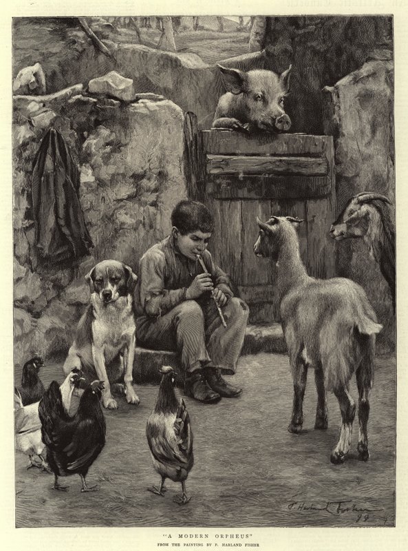 A Modern Orpheus by Percy Harland Fisher