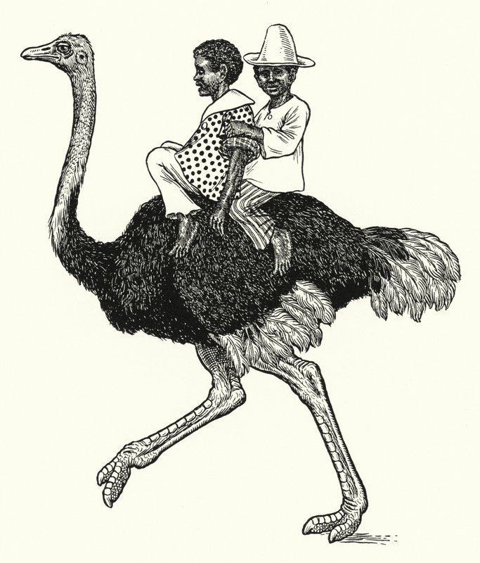Ostrich riding by Percy James Billinghurst