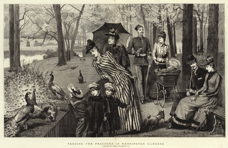 Feeding the Peacocks in Kensington Gardens by Percy Macquoid