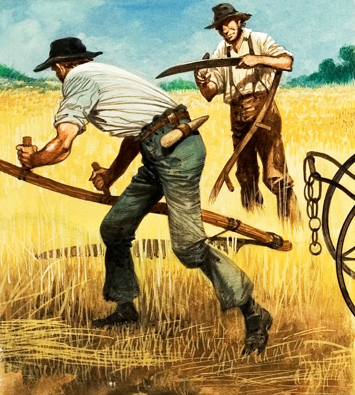Reaping by Peter Jackson