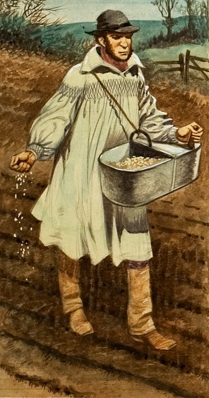 Sowing by Peter Jackson