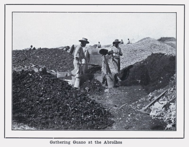 Gathering Guano at the Abrolhos by Photographer Australian