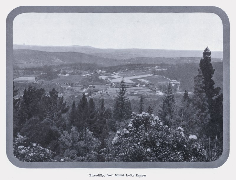 Piccadilly, from Mount Lofty Ranges by Photographer Australian