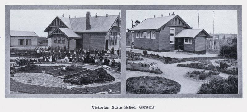 Victorian State School Gardens by Photographer Australian