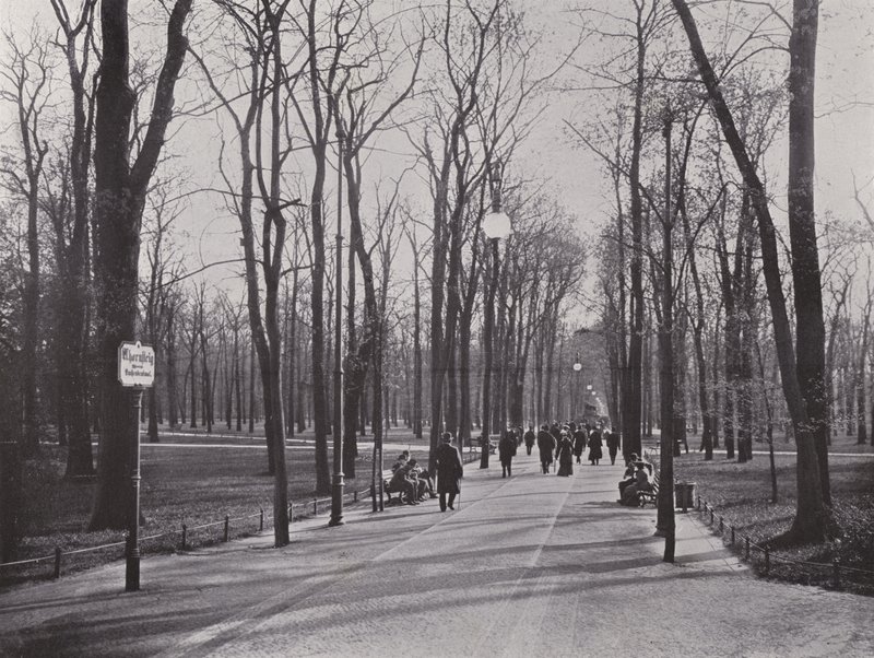In the Tiergarten, Maple Path by Photographer German