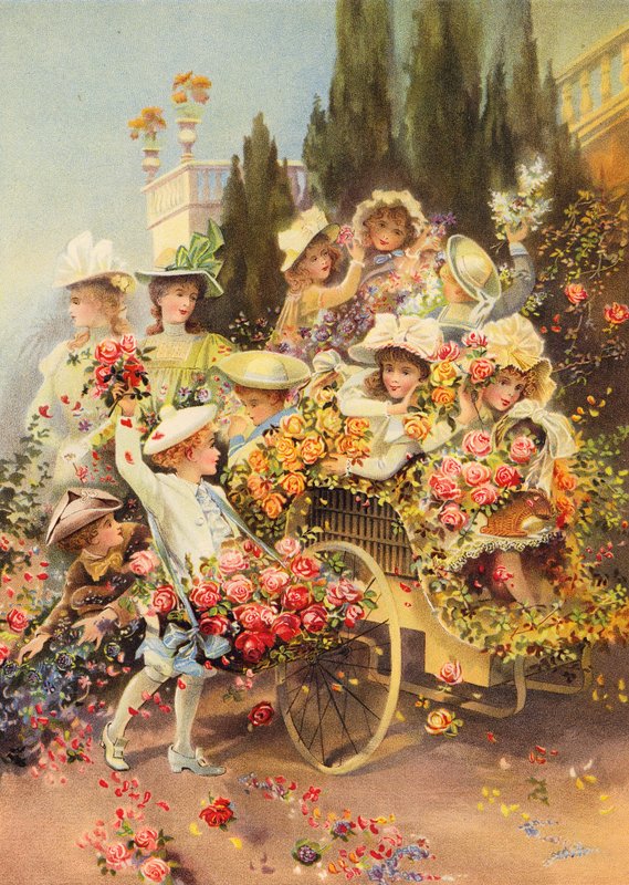 The Battle of Flowers by Polly Clarke