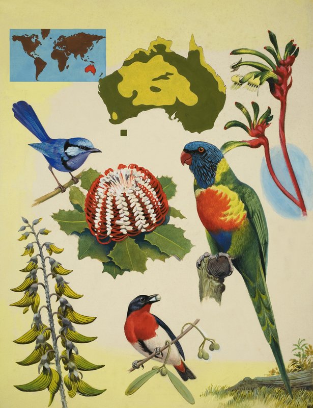 Wildlife of Australia by R.B. Davis