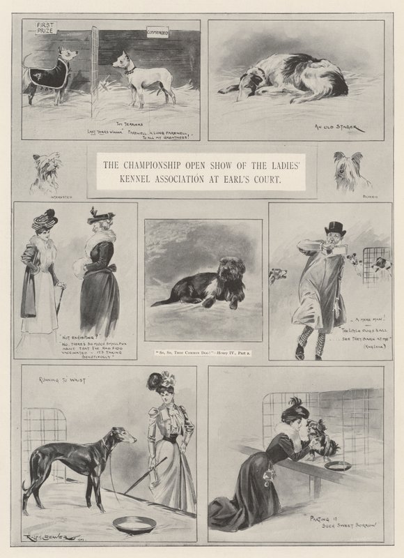 The Championship Open Show of the Ladies
