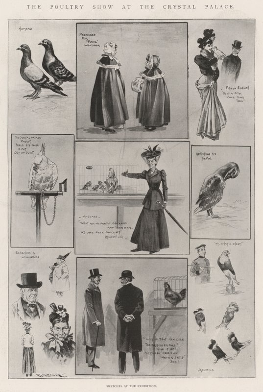 The Poultry Show at the Crystal Palace by Ralph Cleaver