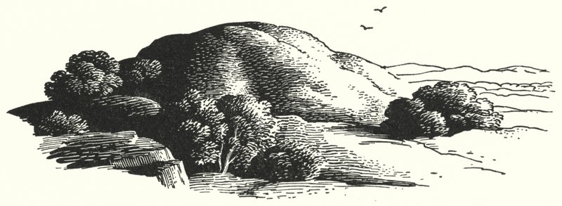 Hans Christian Andersen: The Elfin-Mount by Rex (after) Whistler