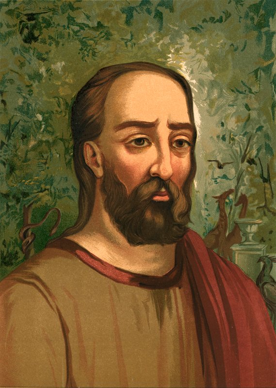 Pliny the Elder by Ricardo Marti