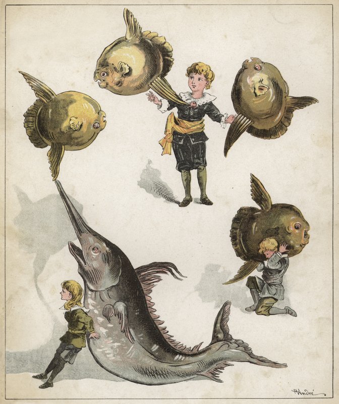 Fish Gymnastics by Richard Andre