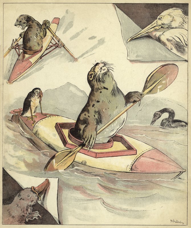 Seal Canoeing by Richard Andre