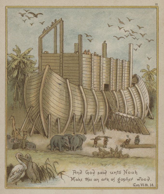 Noah