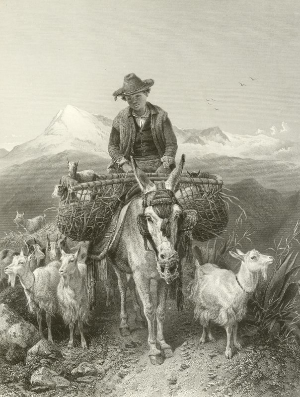 The Goatherd of Granada by Richard Ansdell