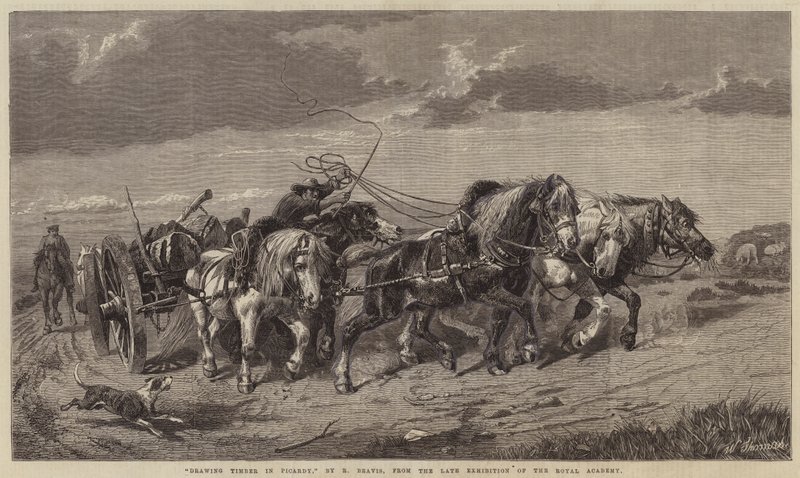 Drawing Timber in Picardy by Richard Beavis