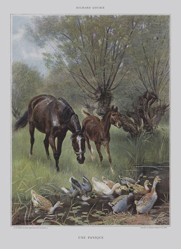 A Panic by Richard Doyle