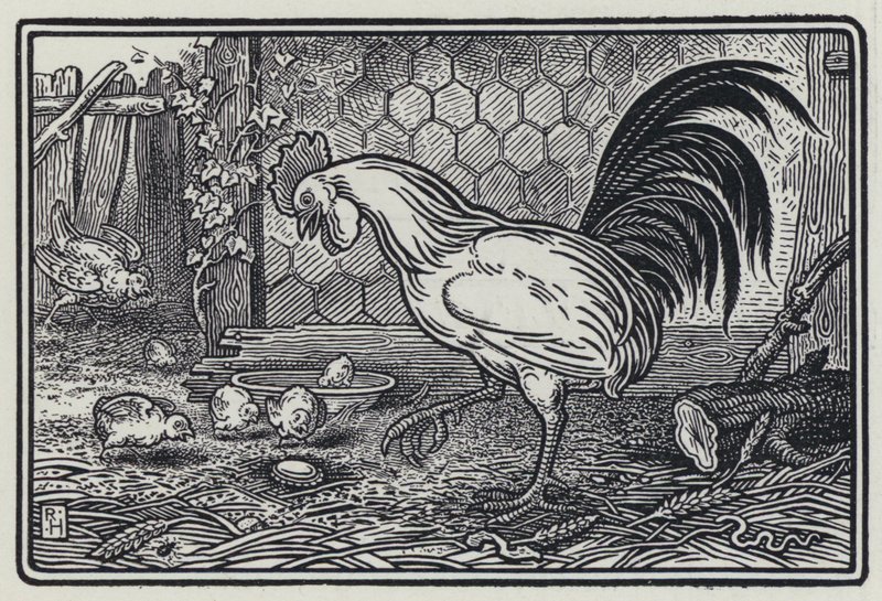 The Cock And The Pearl by Richard Heighway