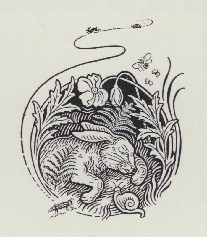 The Hare And The Tortoise by Richard Heighway