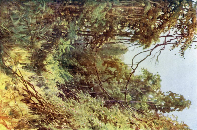 A Forest Glade by Robert George Talbot Kelly