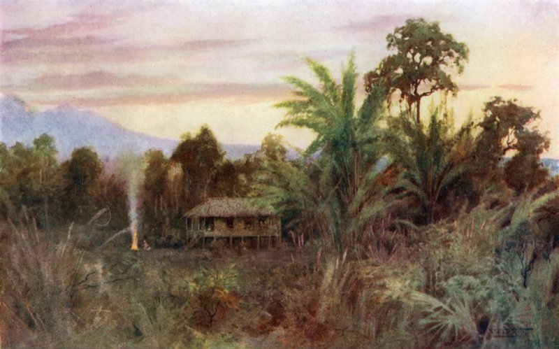 A Forest Tai by Robert George Talbot Kelly
