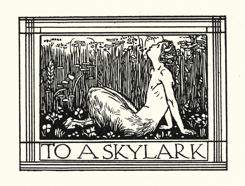 Shelley: To A Skylark by Robert Anning Bell