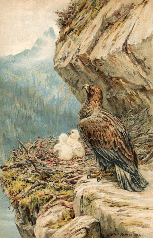 Children of the Mountain by Robert Morley