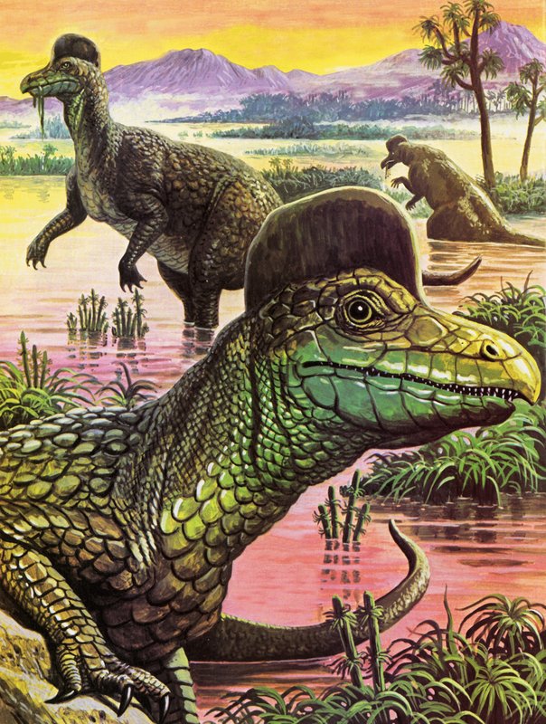 Corythosaurus by Roger Payne