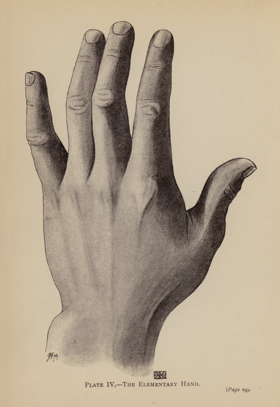 The Elementary Hand by Rosamund Brunel Horsley Gotch