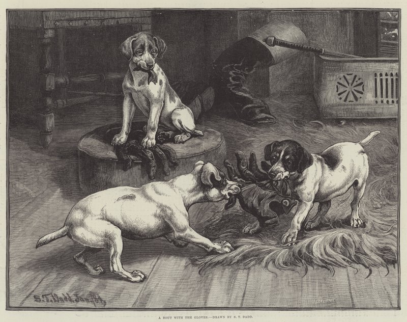 A Bout with the Gloves by S.T. Dadd