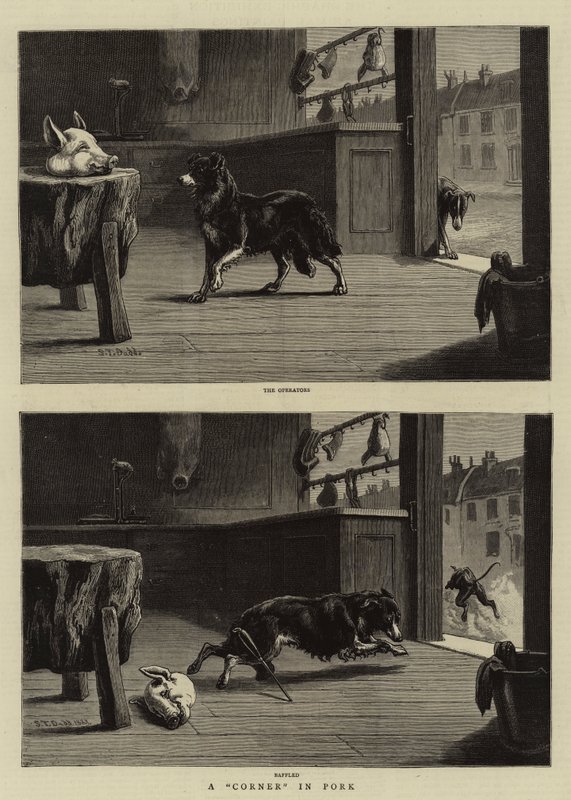 A Corner in Pork by S.T. Dadd