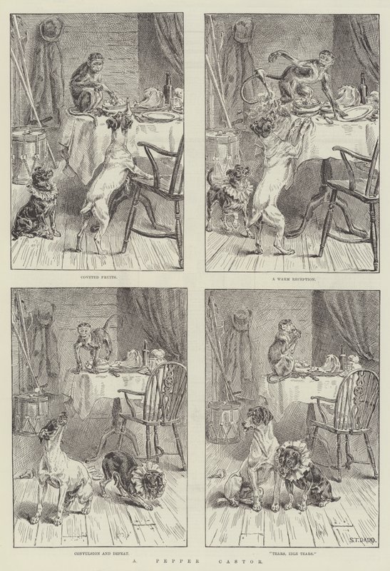 A Pepper Castor by S.T. Dadd