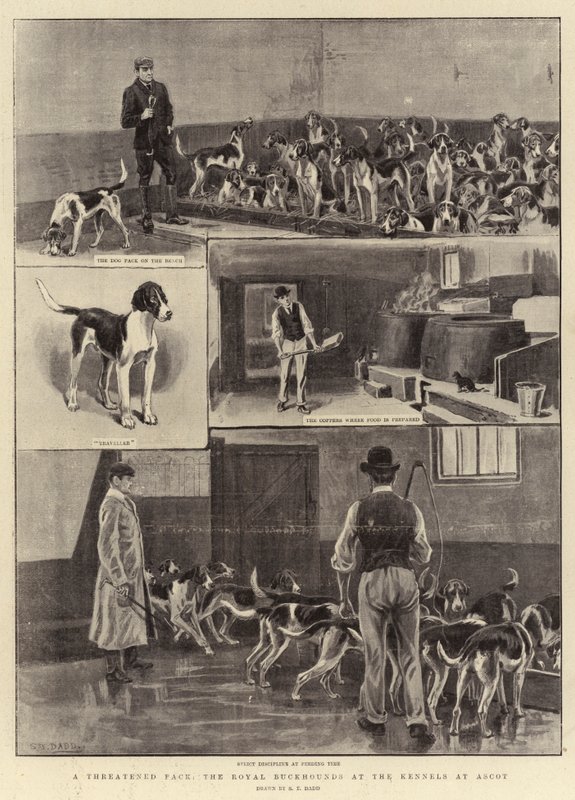 A Threatened Pack, the Royal Buckhounds at the Kennels at Ascot by S.T. Dadd