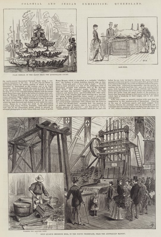 Colonial and Indian Exhibition, Queensland by S.T. Dadd