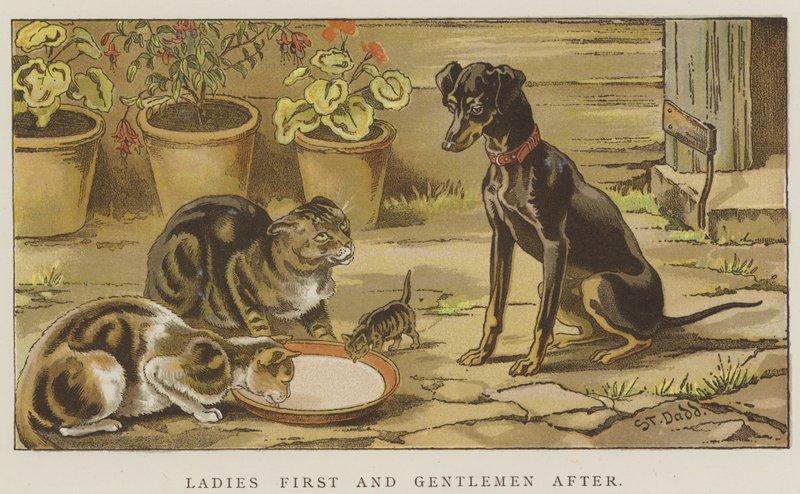Ladies First and Gentlemen After by S.T. Dadd