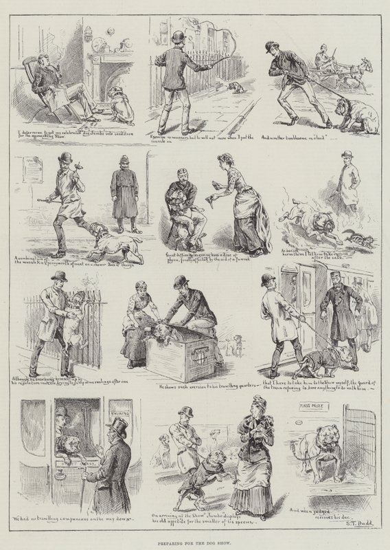Preparing for the Dog Show by S.T. Dadd