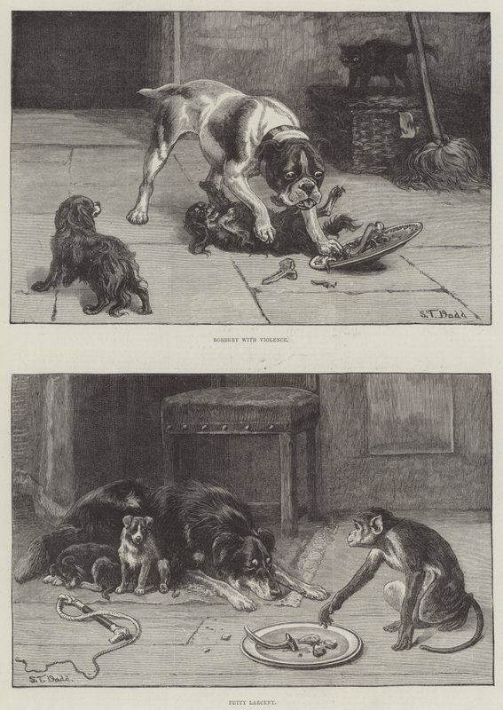 Dogs and Food by S.T. Dadd