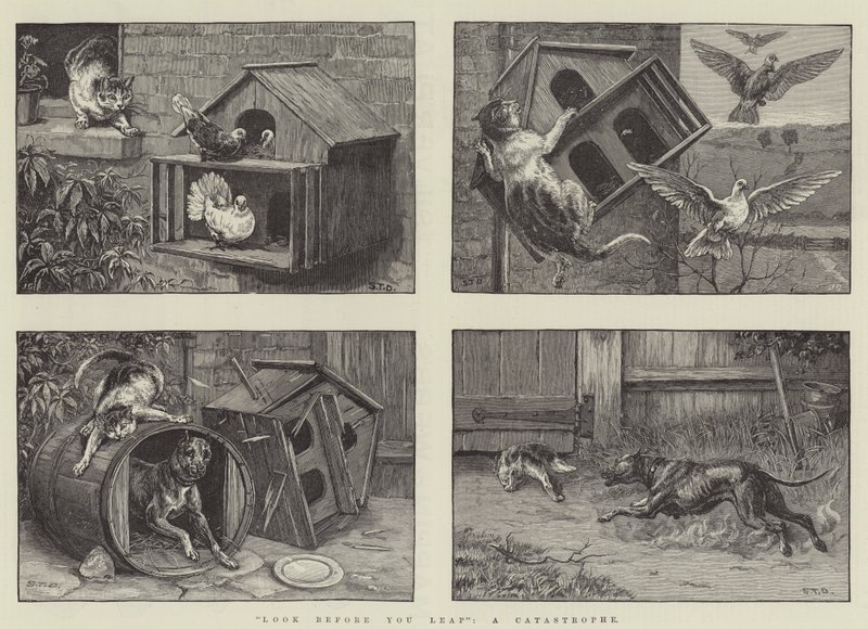 Look Before You Leap, a Catastrophe by S.T. Dadd