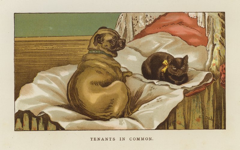 Tenants in Common by S.T. Dadd