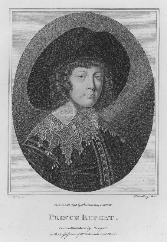Prince Rupert by S. (after) Harding