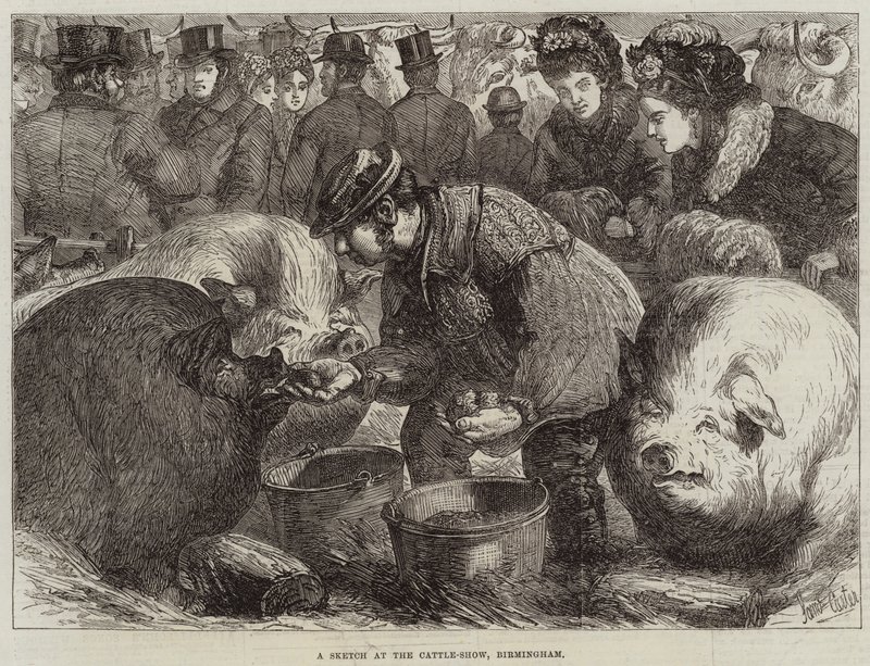 A Sketch at the Cattle-Show, Birmingham by Samuel John Carter