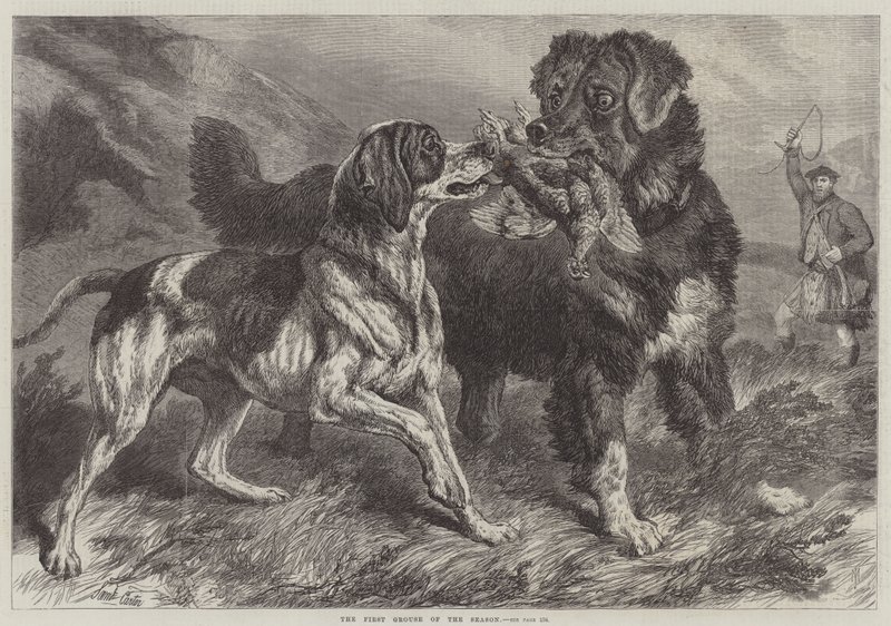 The First Grouse of the Season by Samuel John Carter