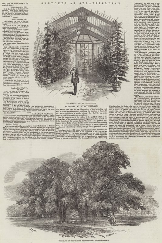 Sketches at Stratfieldsay by Samuel Read