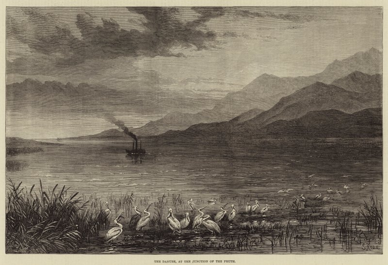 The Danube, at the Junction of the Pruth by Samuel Read