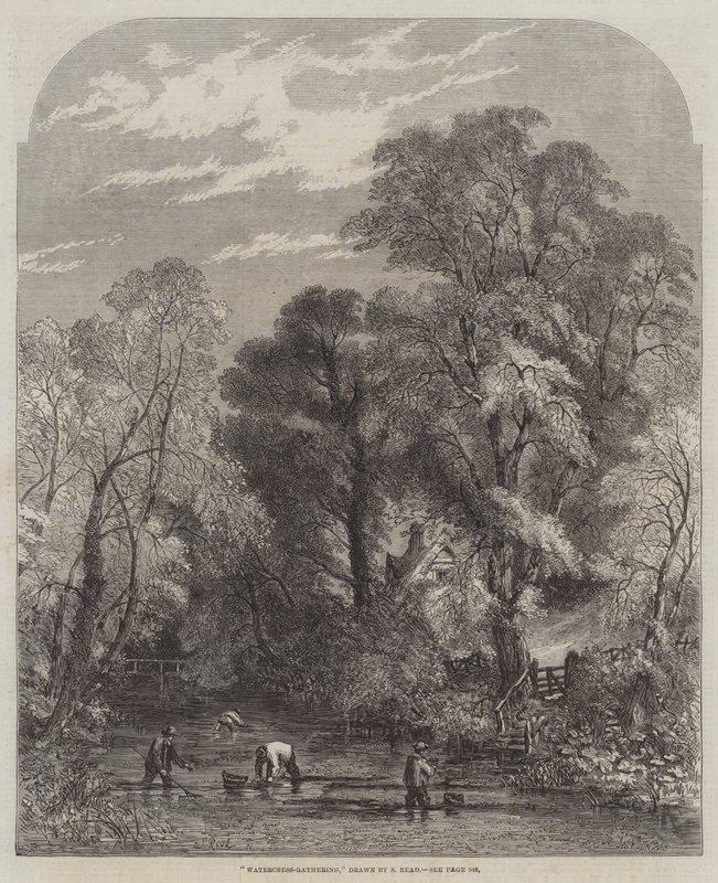 Watercress-Gathering by Samuel Read