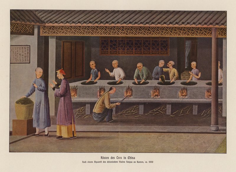 Roasting Tea in China by School Chinese